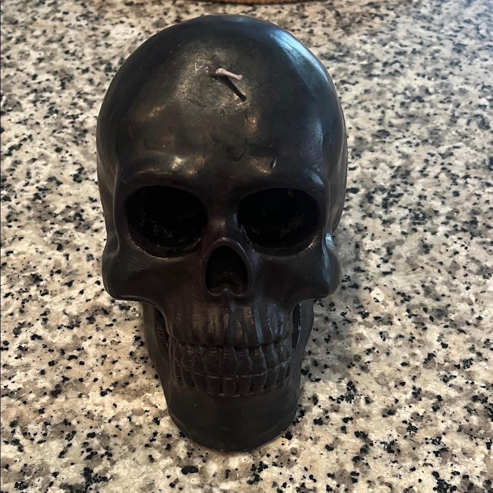 Crate&Barrel Black Skull Decor